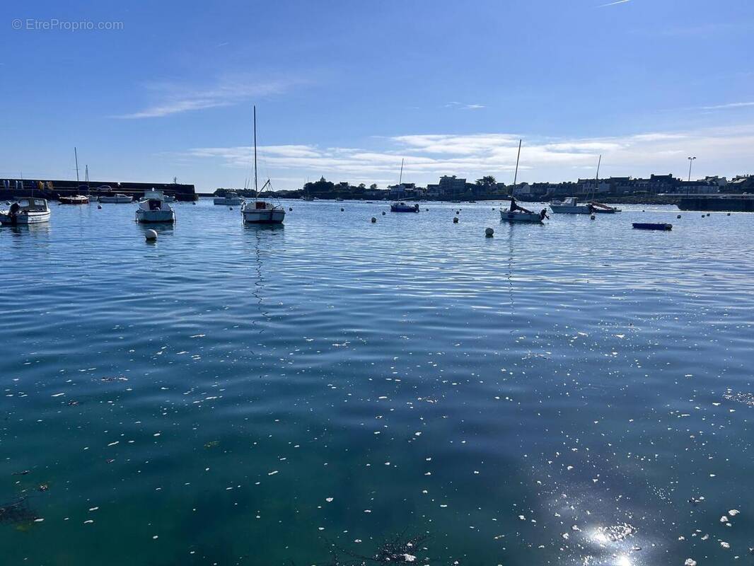 Photo 1 - Terrain à ROSCOFF