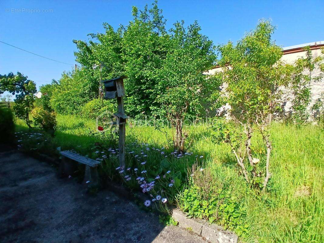 Maison à SAINT-BENOIT-SUR-LOIRE