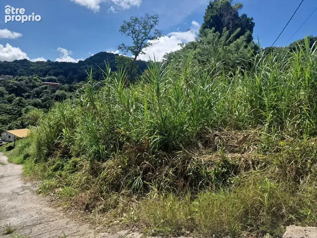 Terrain  585 m2 - photo 2