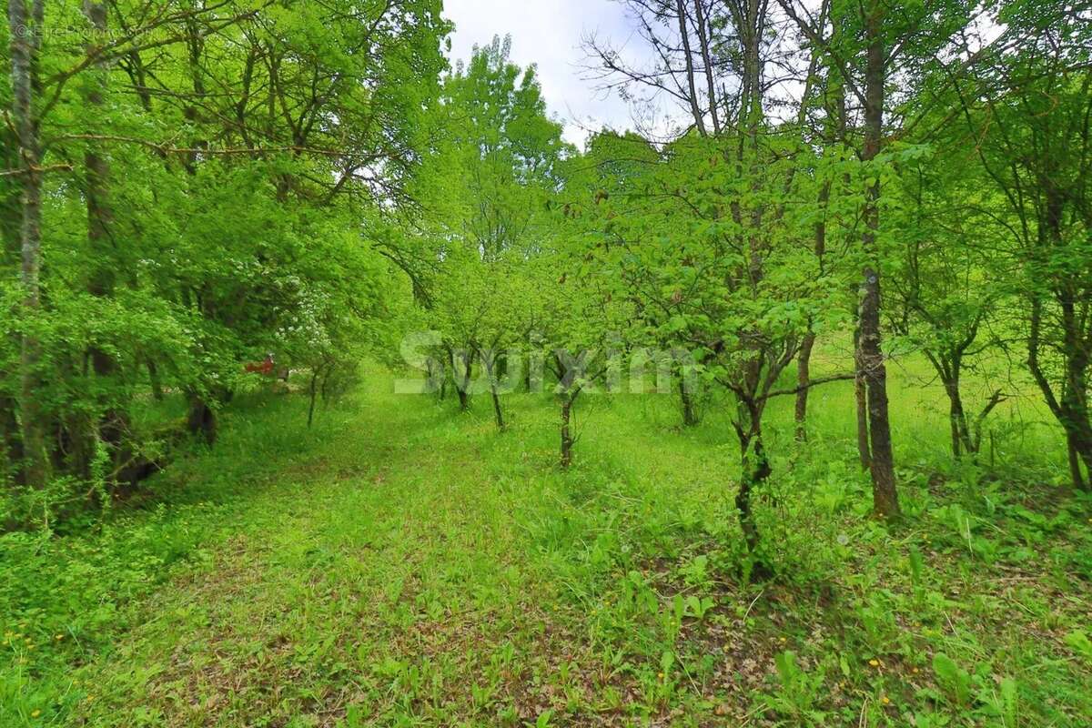 Maison à CORNILLON-SUR-L&#039;OULE