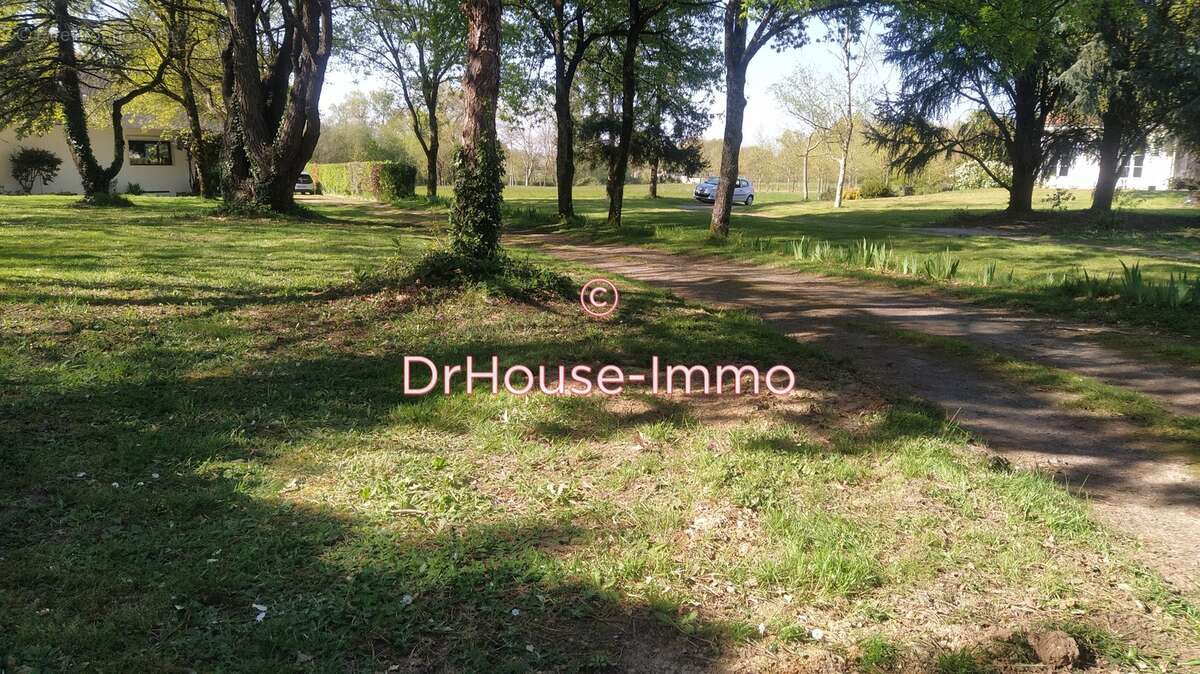 Terrain à SAINT-HILAIRE-DE-CLISSON