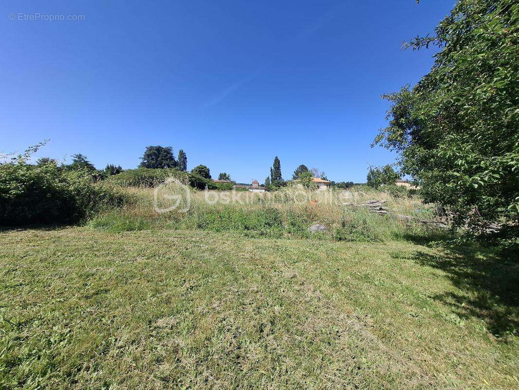 Terrain constructible viabilisé de 7 837 m² en zone UC – Fort potentiel d’aménagement avec maison existante - photo 2