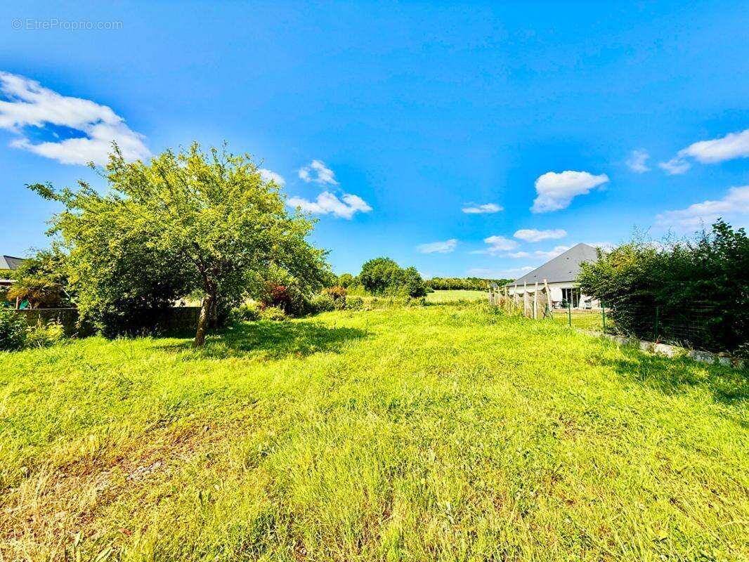 Terrain Champigne 941 m2 - photo 3