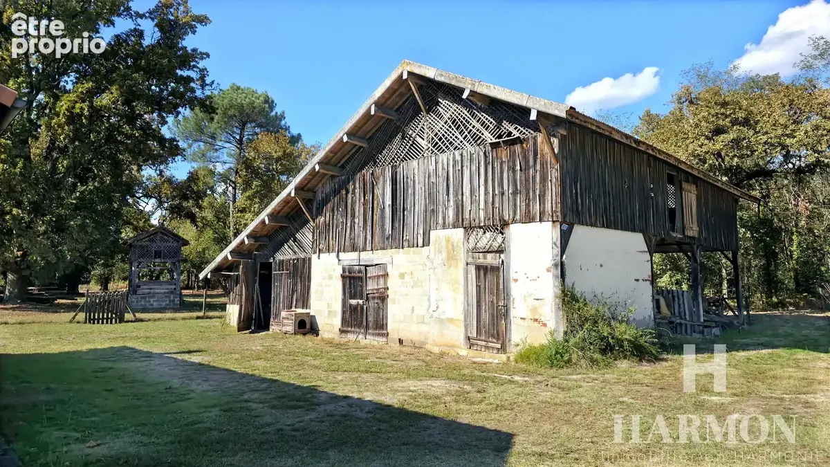 Maison landaise à colombages – Grand airial de plus de 8 000 m² et nombreuses dépendances - photo 8