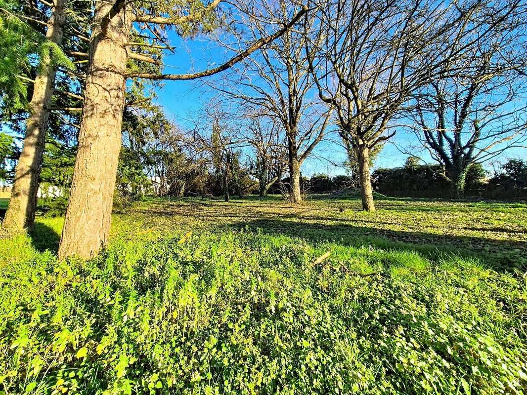 Maison à NOGENT-SUR-VERNISSON