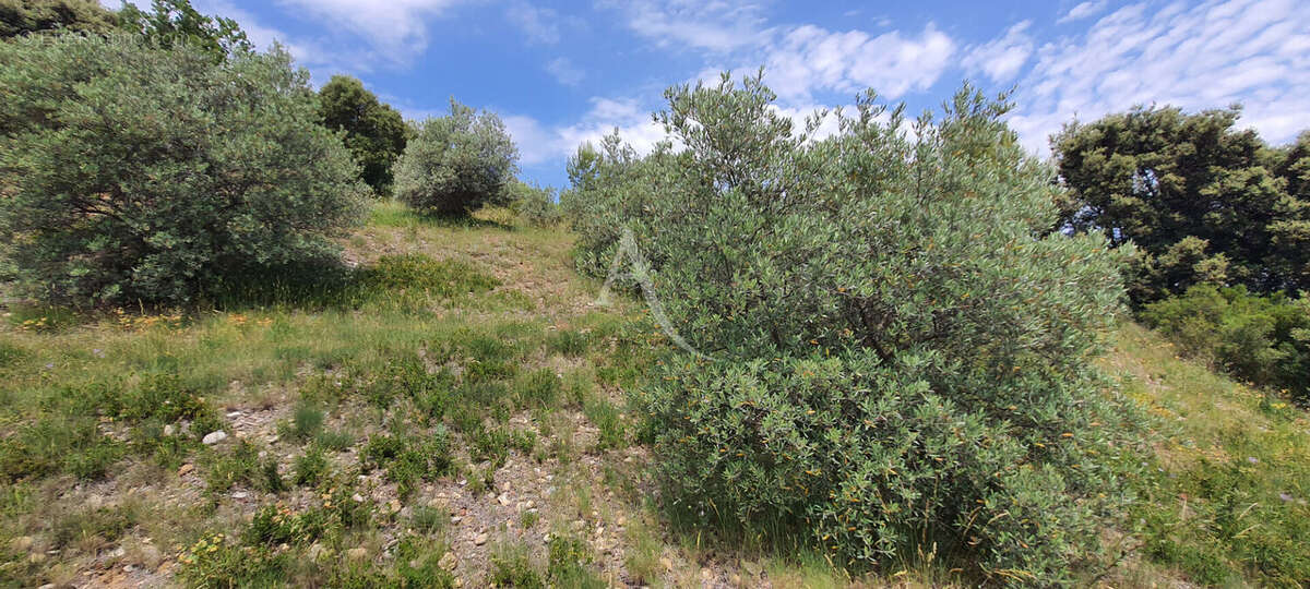 Villa lumineuse sur les hauteurs de Corbieres En Provence - photo 6
