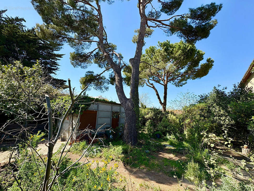Terrain viabilisé Sète 330 m² - photo 2