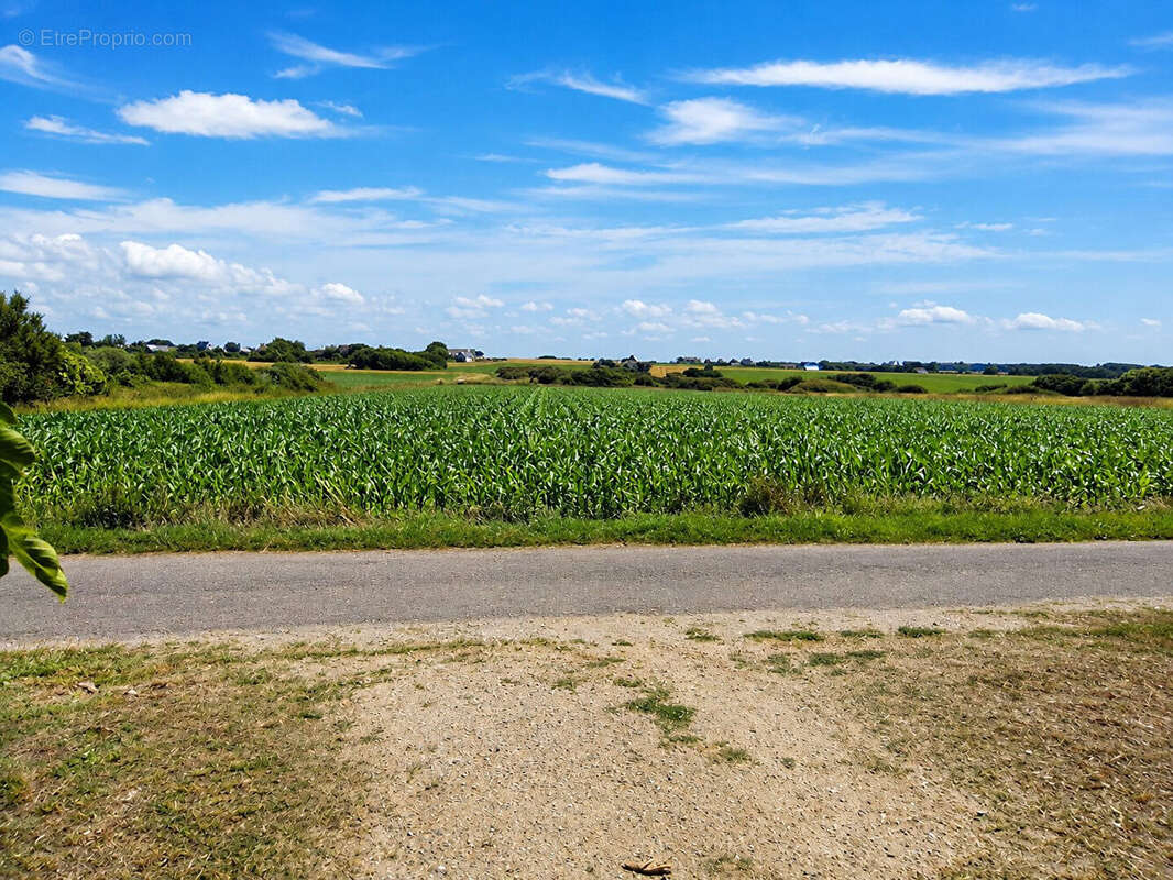 PLOZÉVET , À 400 m de la mer, maison rénovée de 130 m², dépendances en pierre à rénover, hangar de 300 m² et terrain de 3 800 m² - photo 5