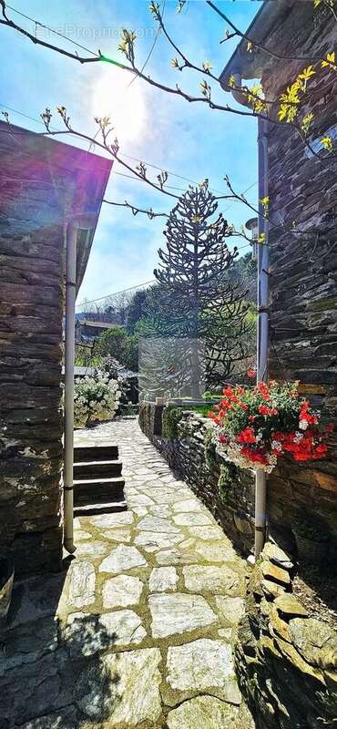 Maison à LE COLLET-DE-DEZE