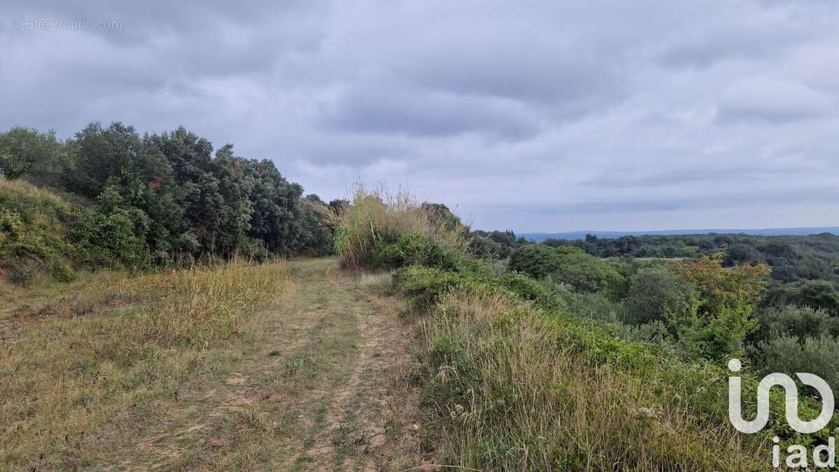 Photo 8 - Terrain à LEDENON