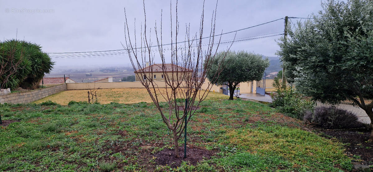 Terrain à PERET