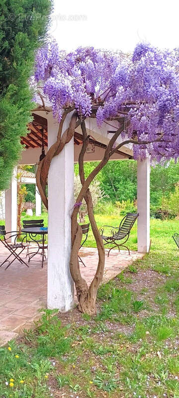 Maison à CASSIS