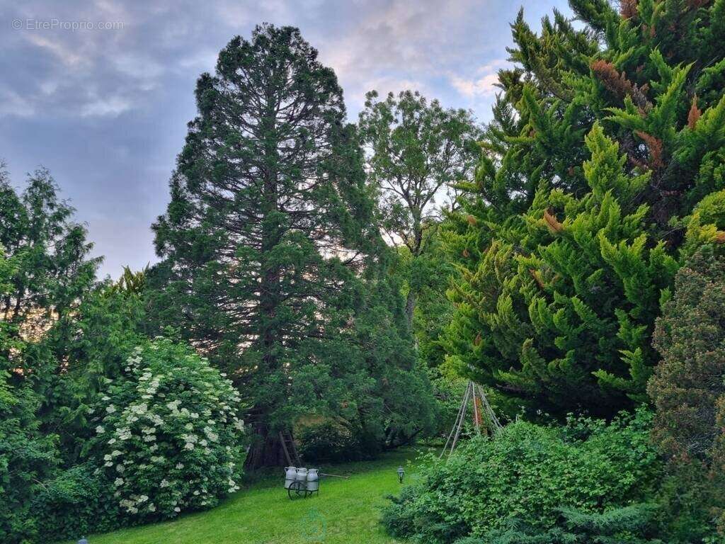 Maison à COULOMMIERS