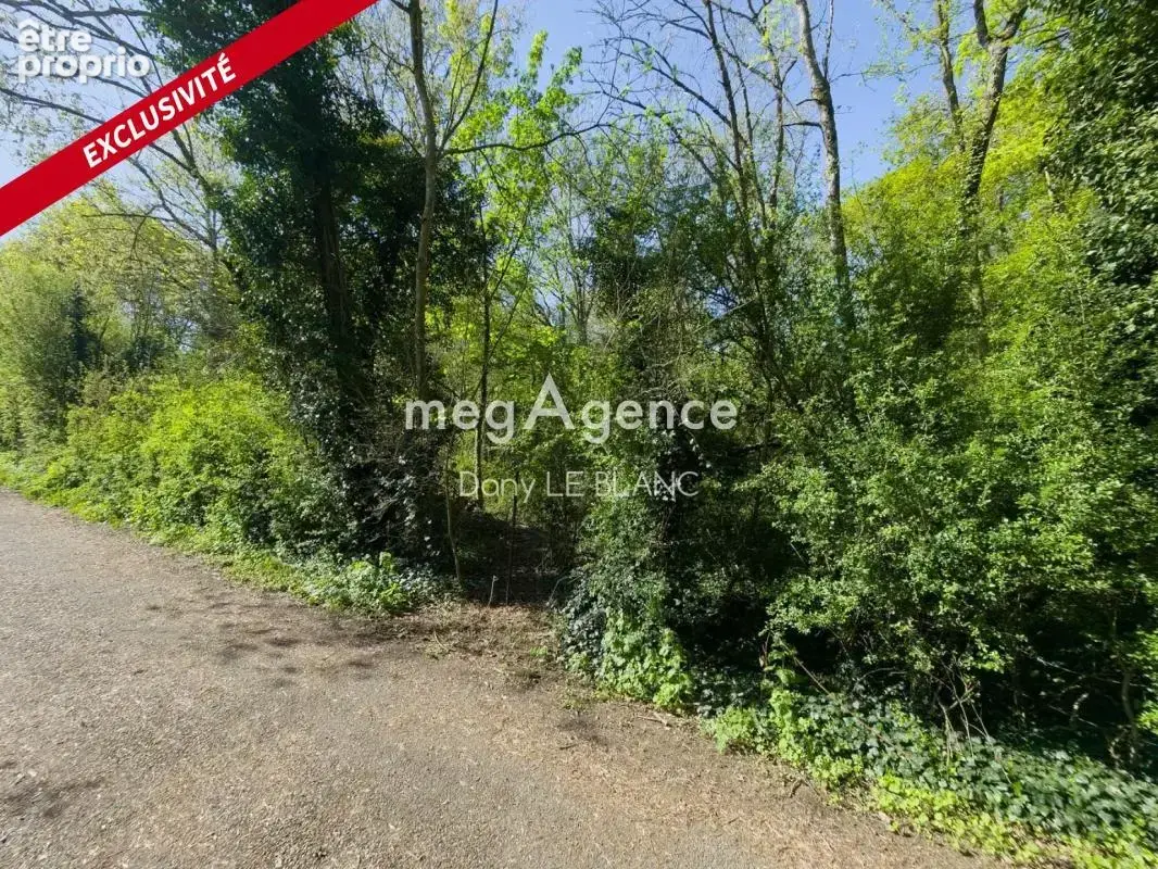 Terrain de loisirs boisé — 3174 m² - photo 5