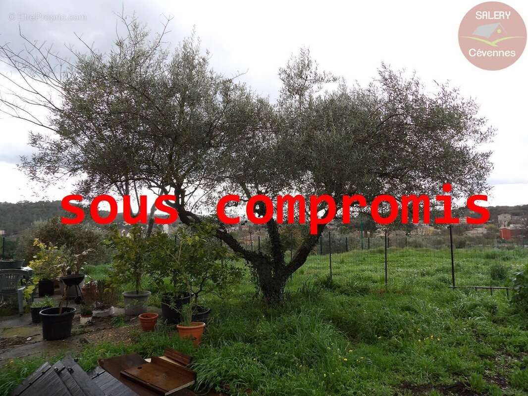 Maison à DOMESSARGUES