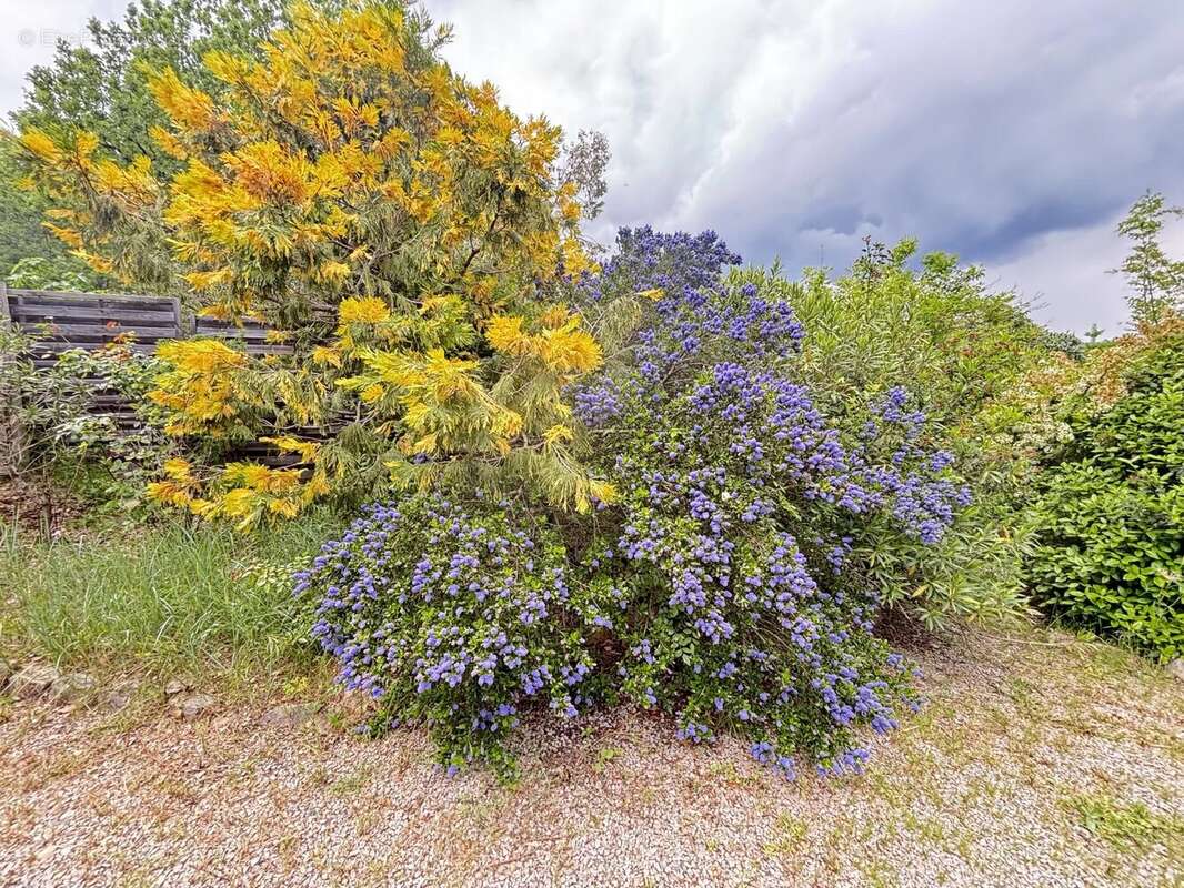 Maison à FIGANIERES