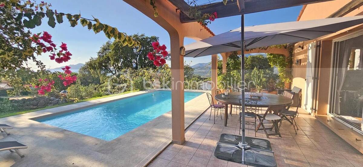 Maison à CUTTOLI-CORTICCHIATO