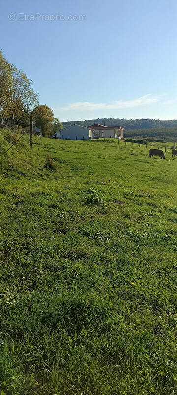 Terrain à DAMPNIAT