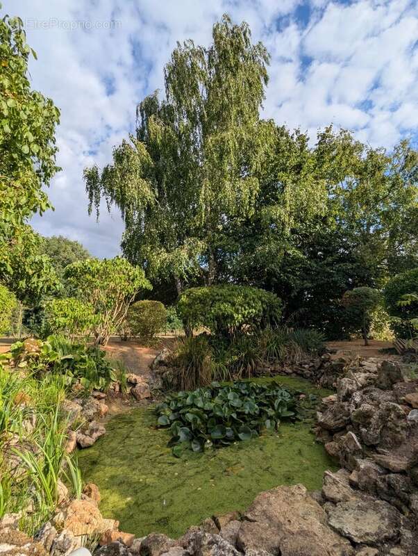 Vallée D'Eure - Terrain constructible de 2160 m² - photo 6