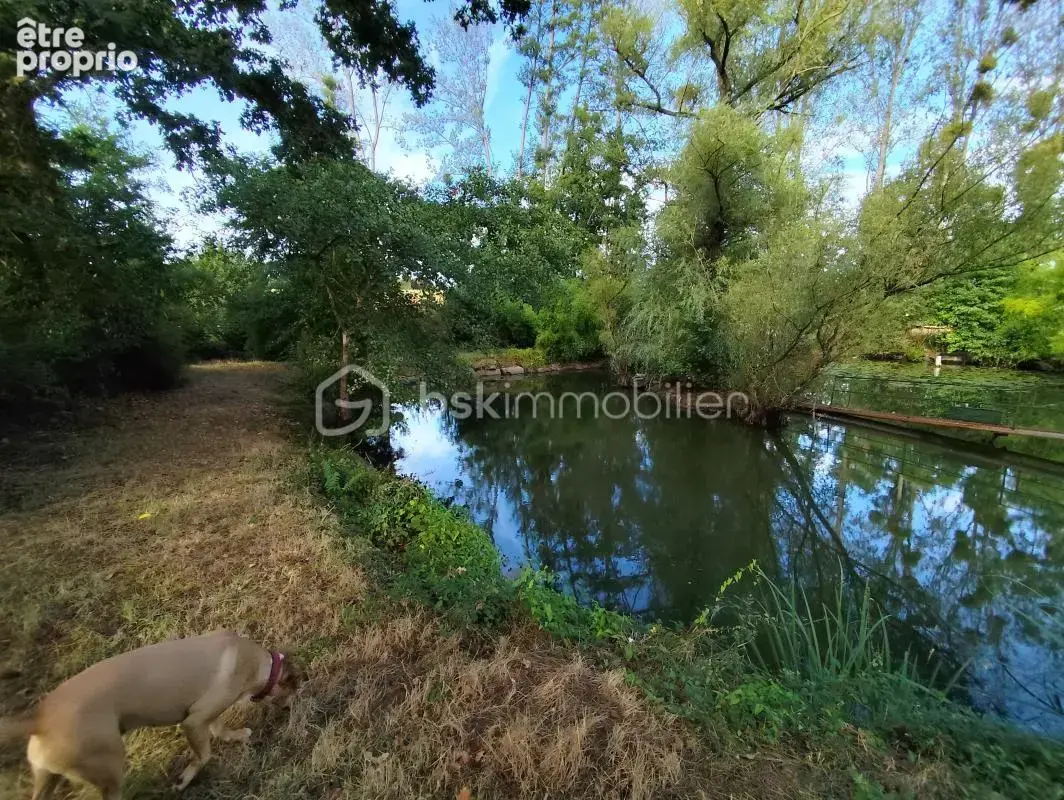 Propriété à restaurer - 2 maisons à caractère d'habitation + dépendances - Etang - Javené ''Rare à la vente'' - photo 4