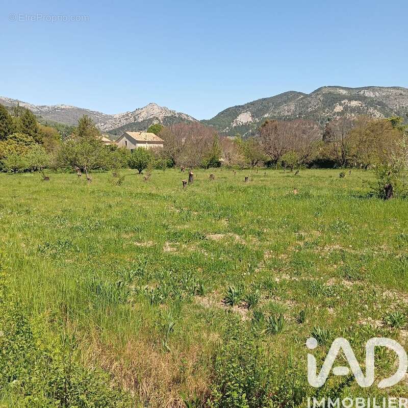 Photo 7 - Terrain à BUIS-LES-BARONNIES