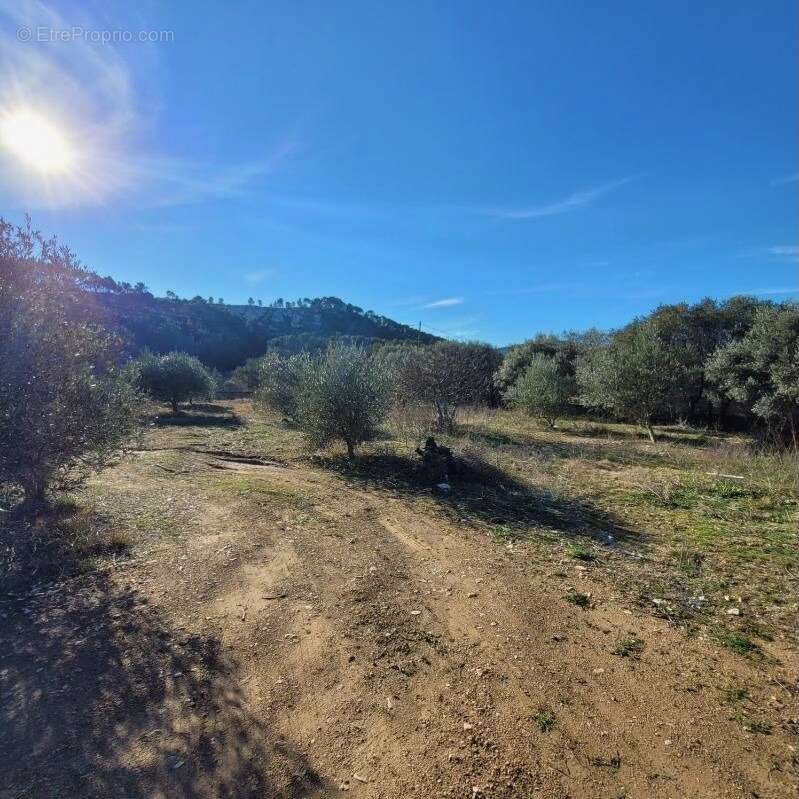 Terrain à CUGES-LES-PINS