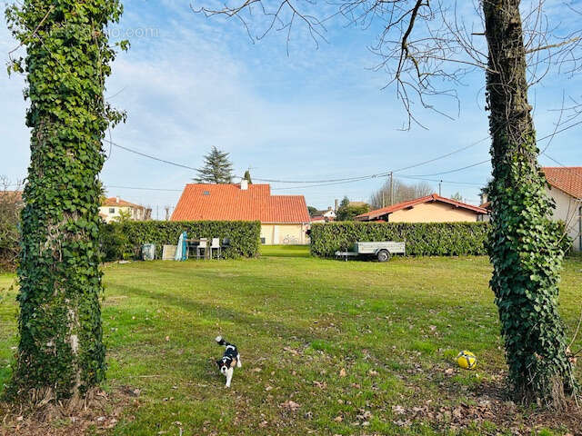 Terrain 954 m² à Vic-En-Bigorre  - photo 3
