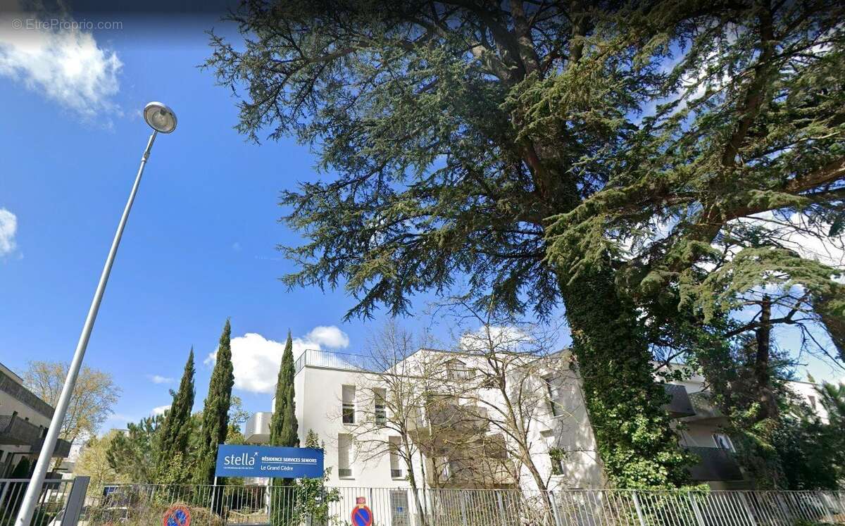 INVESTISSEMENT LOCATIF  CENON  Résidence Seniors Stella - Le Grand Cèdre - 6,57 % de rentabilité - photo 15