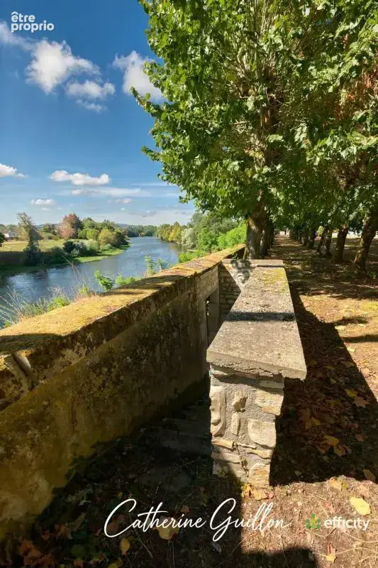 Maison 18 pièces 560 m² à vendre à Ingrandes (86220) - photo 26