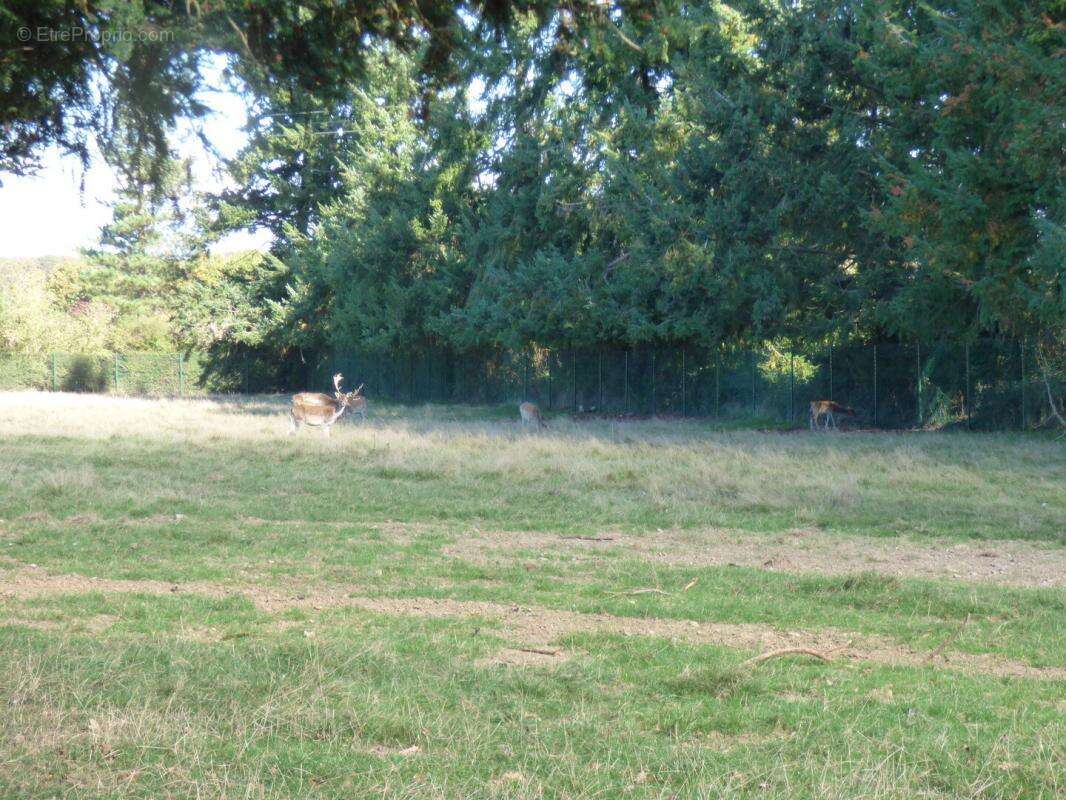Maison à CHATEAUNEUF-EN-THYMERAIS