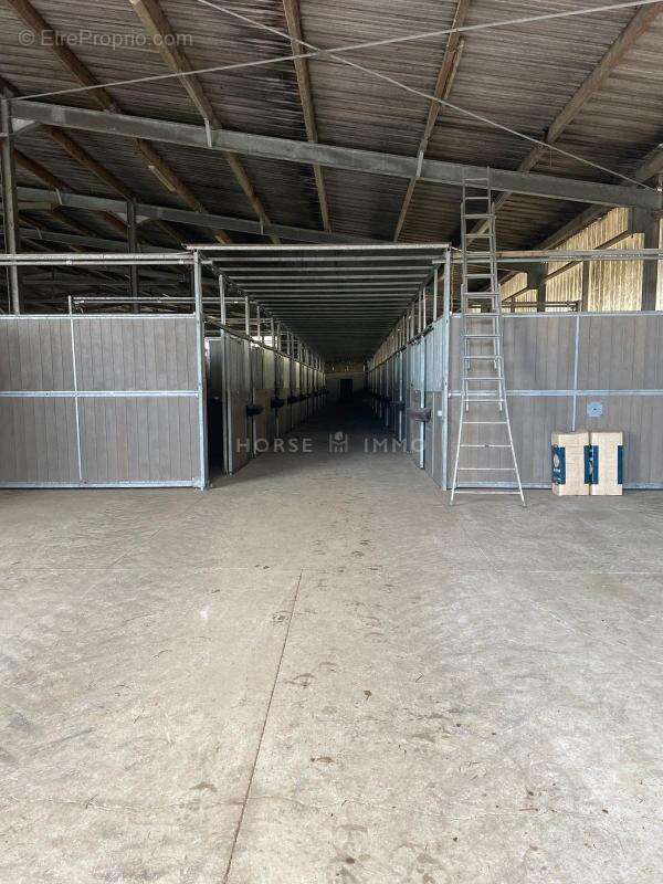 Haras de Reproduction Clé en Main sur 52 ha dans le Morbihan (5 - photo 17