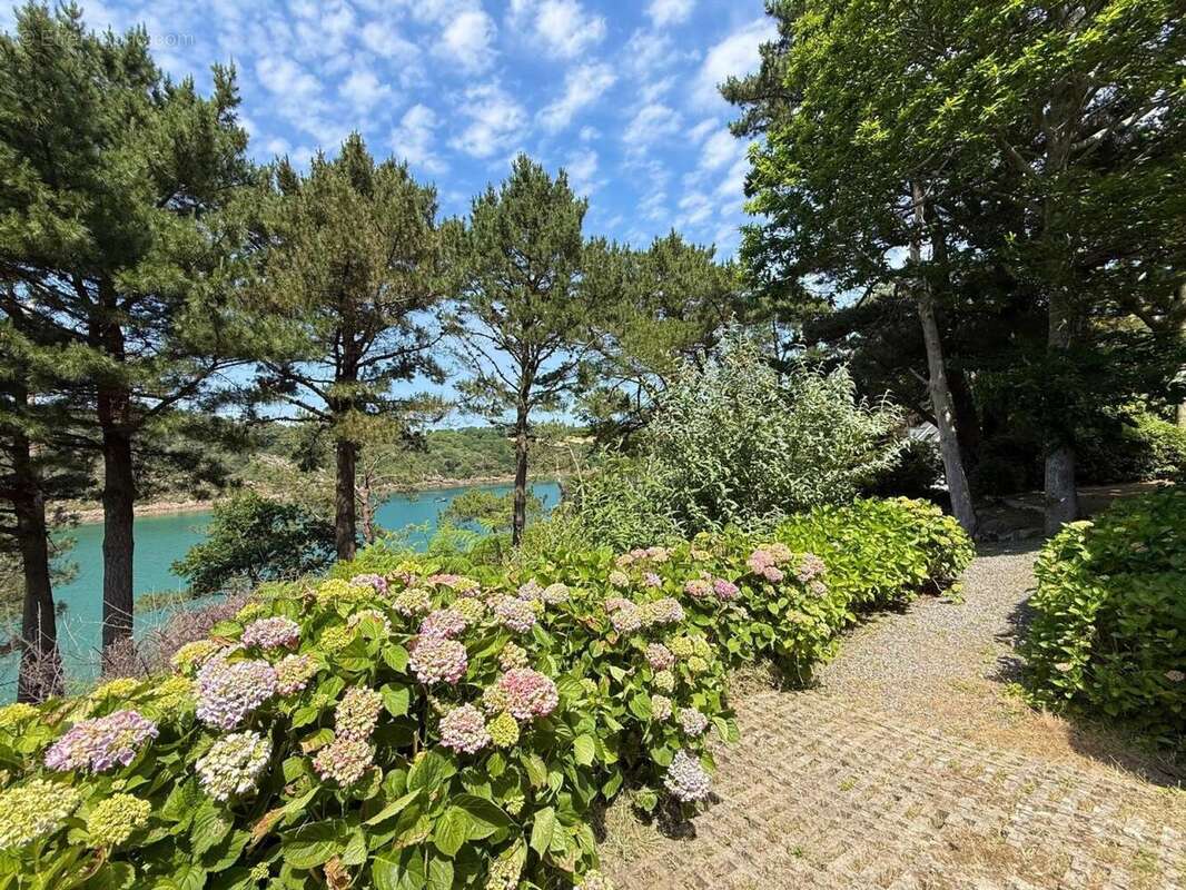 Photo 9 - Maison à MOELAN-SUR-MER