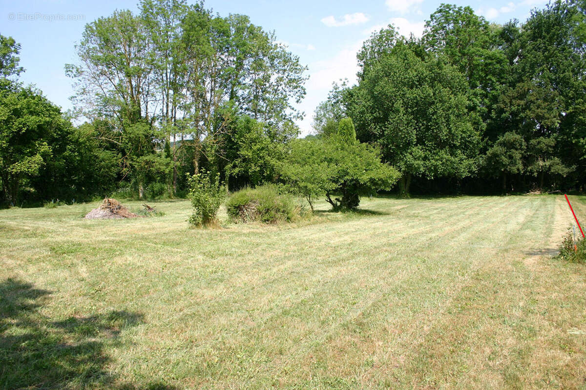 Maison à BERCENAY-EN-OTHE