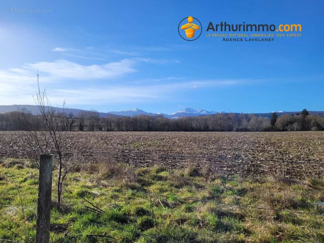 Commerce à LAROQUE-D'OLMES