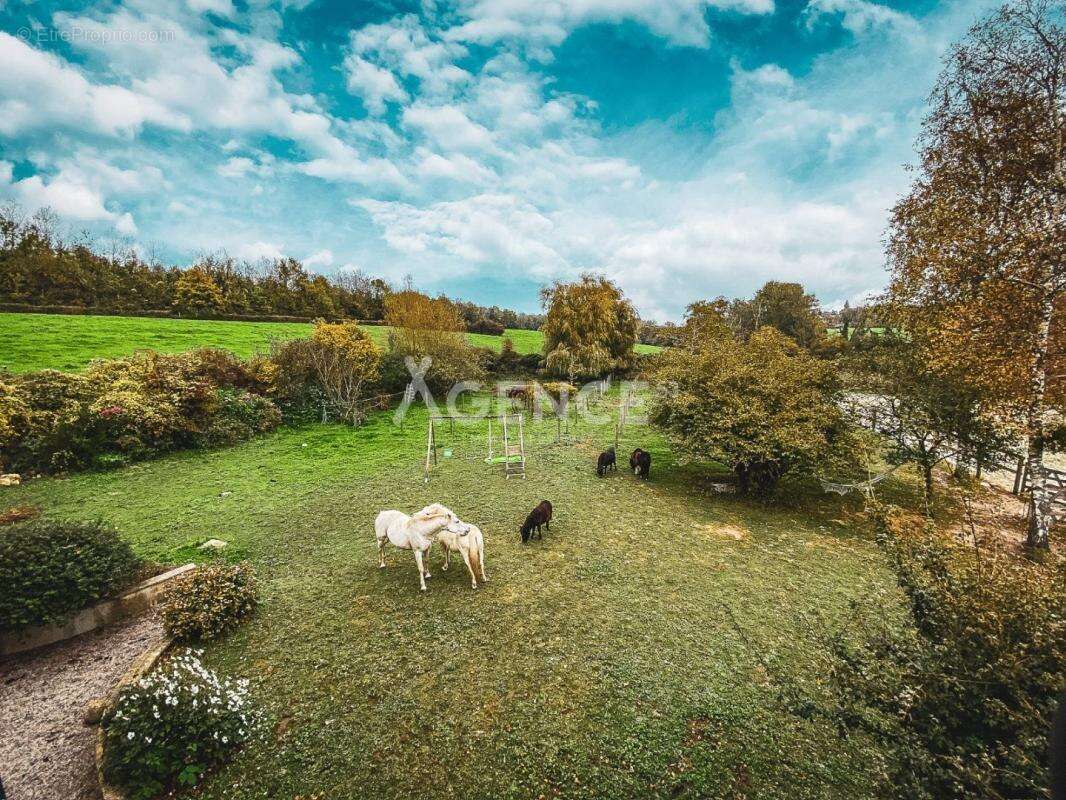 Maison à HESDIN-L&#039;ABBE