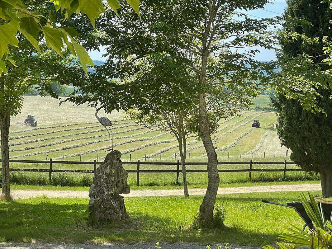 Domaine de caractère avec installations équestres exceptionnelles sur 40 hectares - photo 15