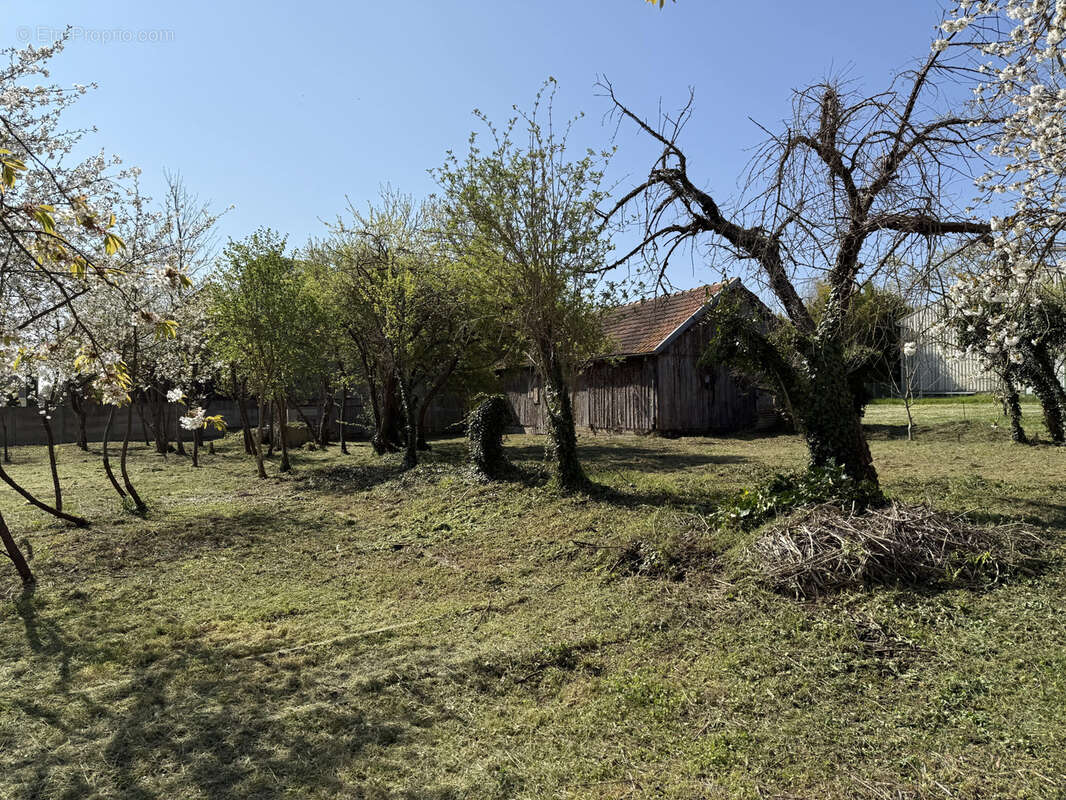 Maison à SAINT-MESMIN