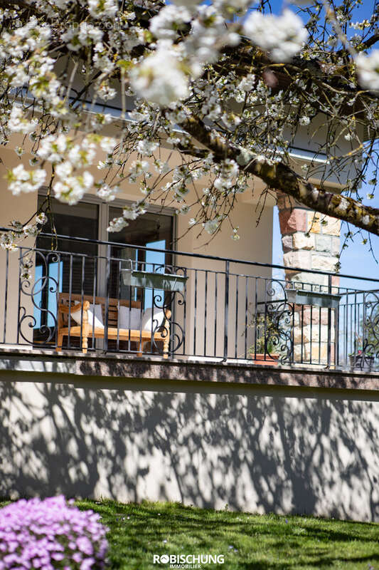 Maison à BIEDERTHAL