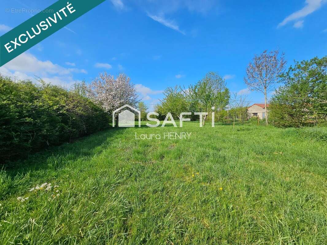 Maison 260 m² à Doncourt-Aux-Templiers  - photo 9