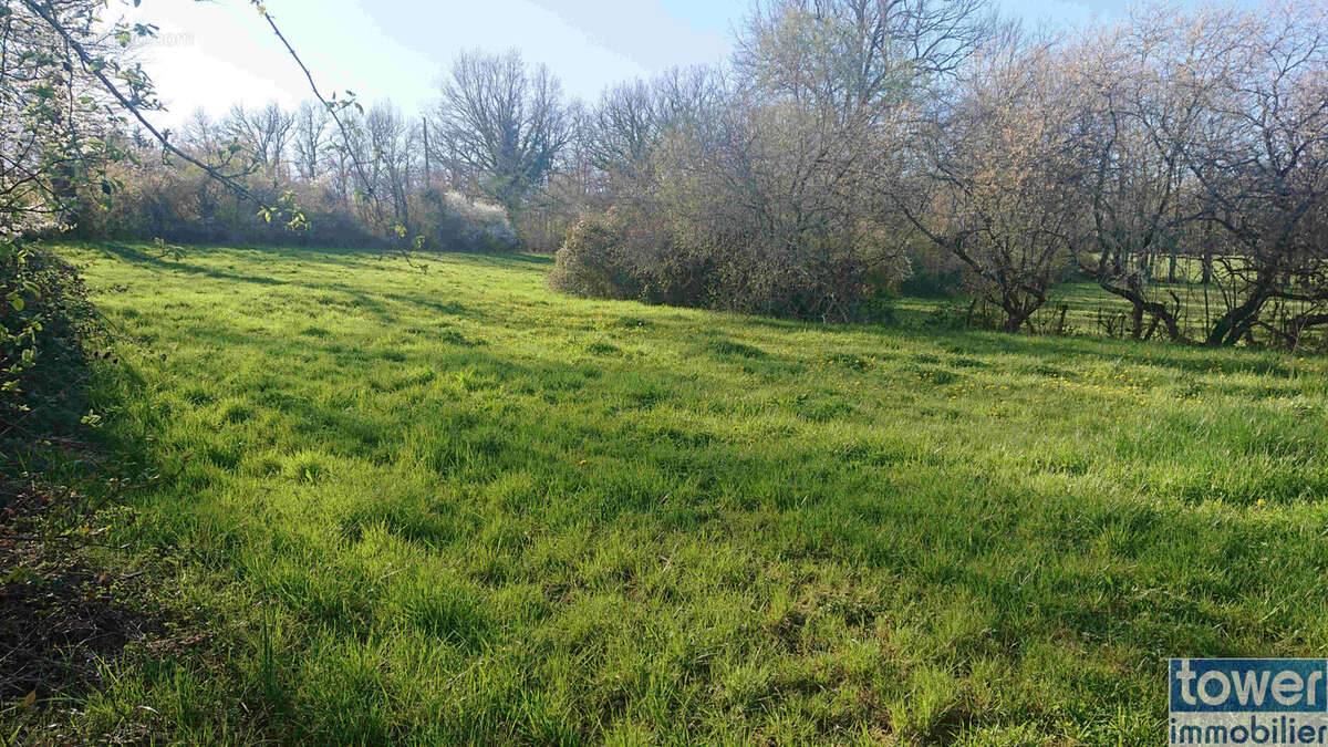 Terrain à PUYLAGARDE