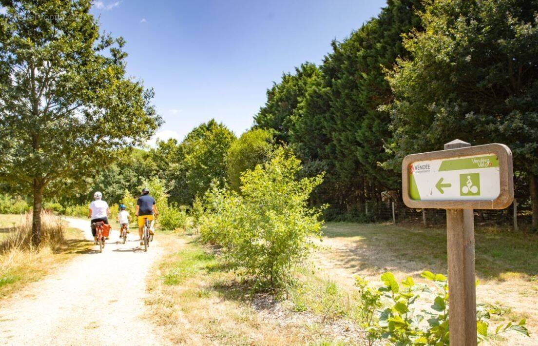 Terrain à LA MOTHE-ACHARD