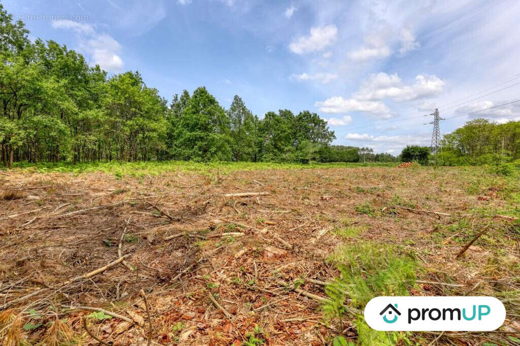 Terrain à SAINT-PHILBERT-DU-PEUPLE