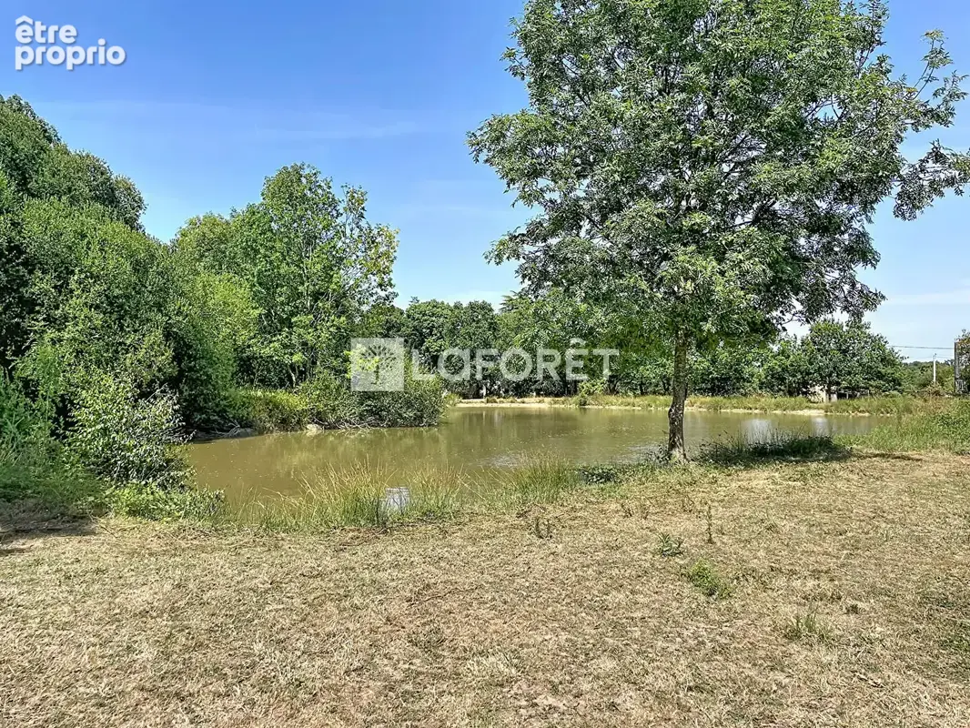 Terrain Allaire 16500 m2 - photo 3