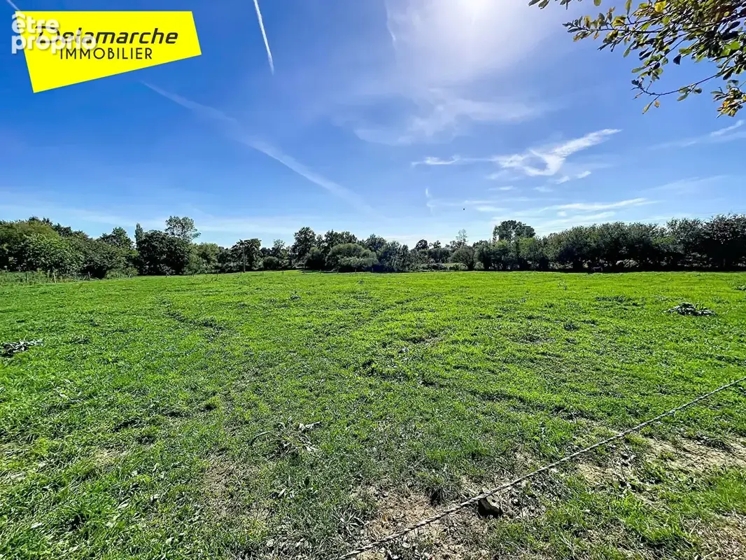 A VENDRE : Charmante maison en pierres avec dépendances et terrain - photo 17