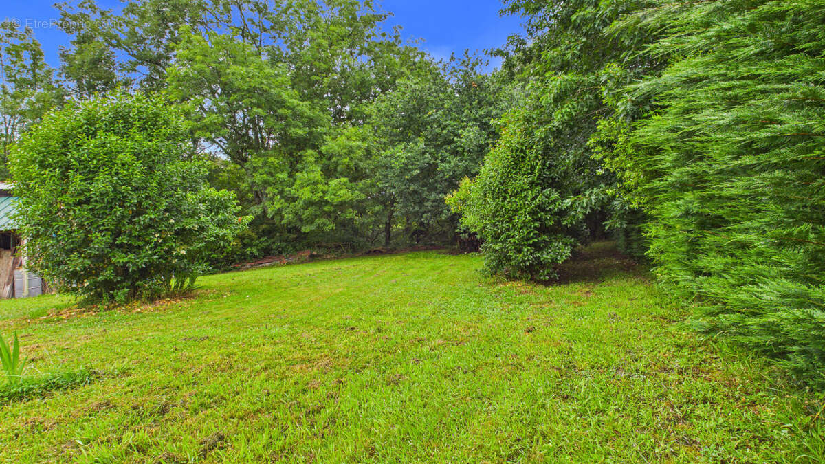 Terrain constructible de 2 244 m² avec forêt de 2 hectares - photo 9