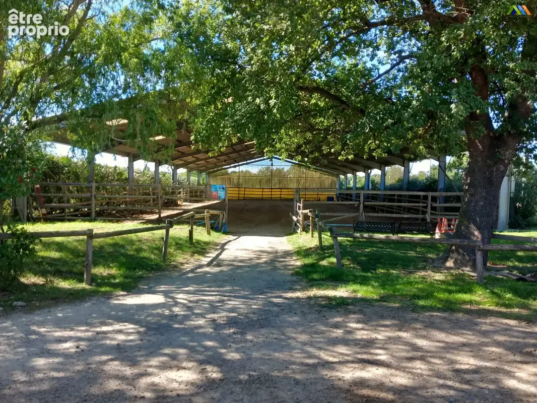 Manège