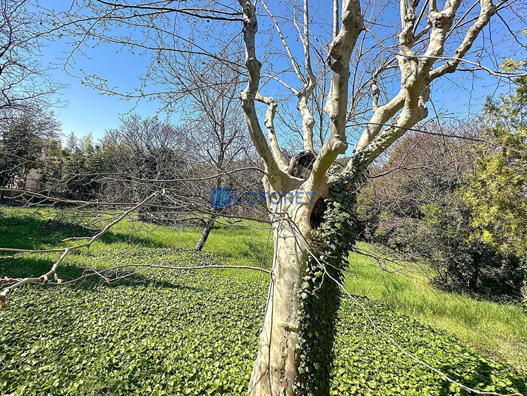 Appartement à DRAGUIGNAN