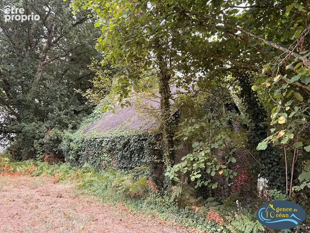 Herbignac, terrain constructible avec maison en pierres a renover, 621 m², 4 kms des commerces, 9 kms des plages, - photo 2