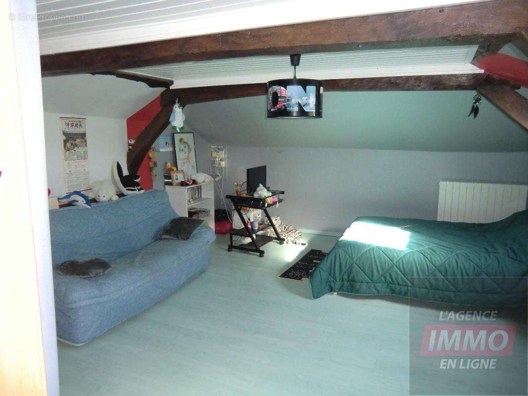 Maison 250 m² à Castelnau-Magnoac  - photo 10