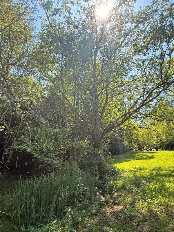 MAGNIFIQUE Moulin de Peurousseau 142m², 4 chambres sur terrain de 4663m² 149 000 € - photo 70